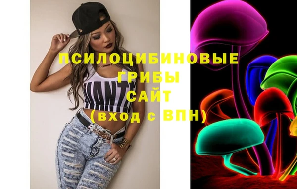 spice Беломорск